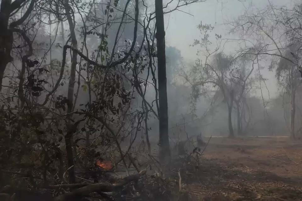 Amazônia tem 1º semestre de 2022 com maior área sob alerta de desmate em 7 anos