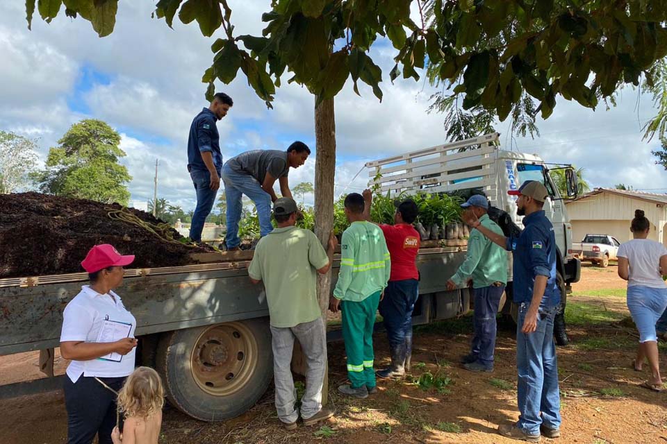 Sema doa composto orgânico de galhos triturado e mudas de árvores para a Associação AGROVALE