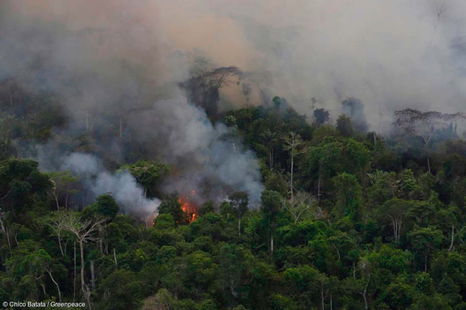 Queimadas tendem a agravar epidemia de Covid-19 na Amazônia, alertam pesquisadores