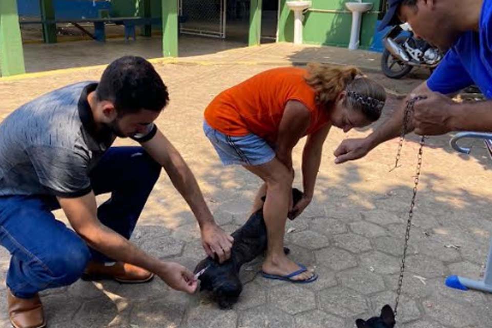 Vacinação antirrábica ocorre no 2º distrito de Ji-Paraná no sábado, 11