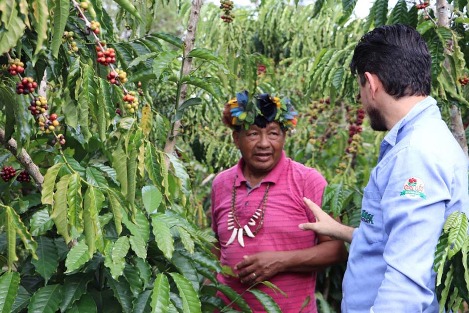 Governo de Rondônia Impulsiona a Cafeicultura Indígena com assistência, inovação e sustentabilidade