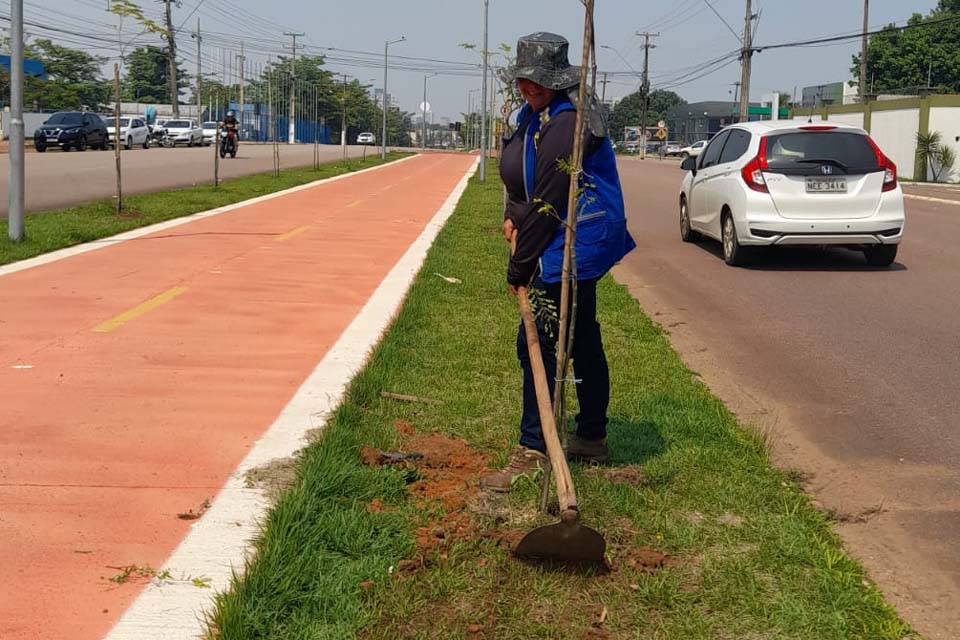 Prefeitura de Porto Velho inicia Plano de Arborização com reposição de mudas em ciclovias