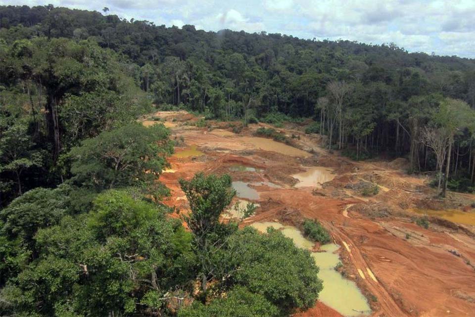 Saiu no BNC – Roraima e Rondônia se antecipam na facilitação de garimpeiros ilegais