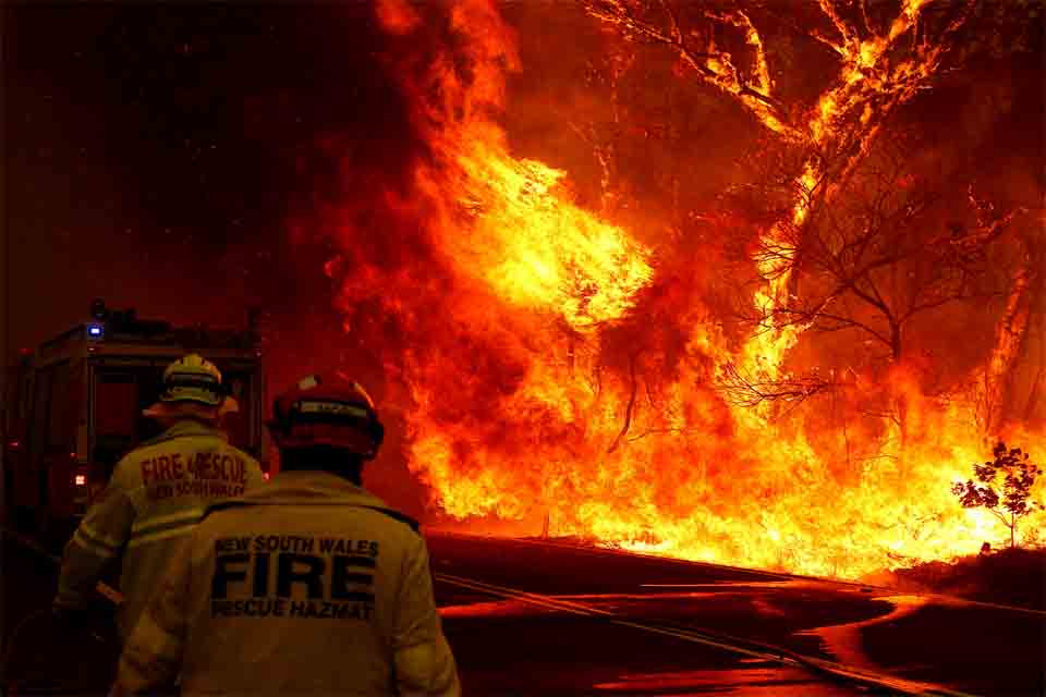 Peritos da Organização das Nações Unidas alertam para aumento de incêndios florestais