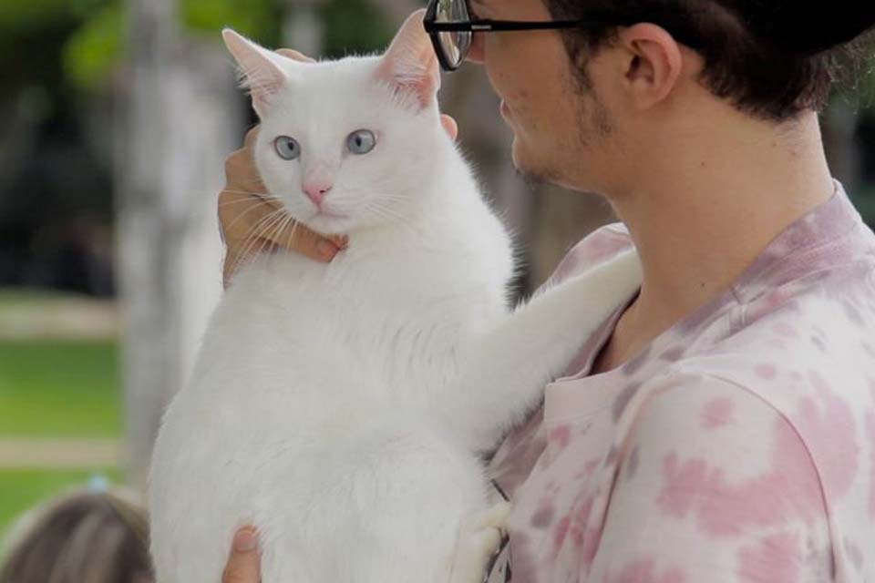 Vigilância Sanitária anuncia cadastro para castração de cães e gatos em Vilhena