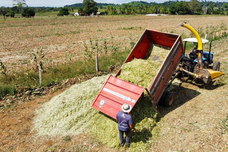 RO é Agro: calcário potencializa produção agrícola em Ji-Paraná