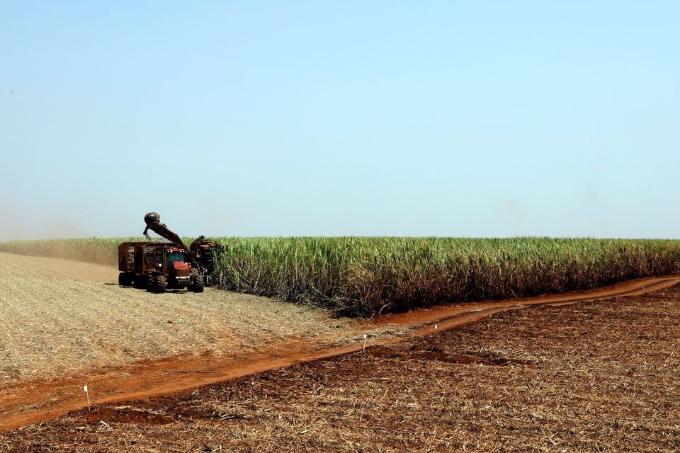 CNA apresenta propostas para Plano Agrícola e Pecuário 2020/2021