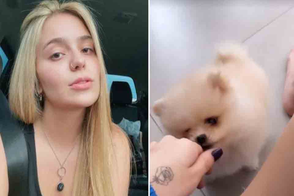 Viih Tube revela pânico após acidente com seu cachorro: “Passei mal”