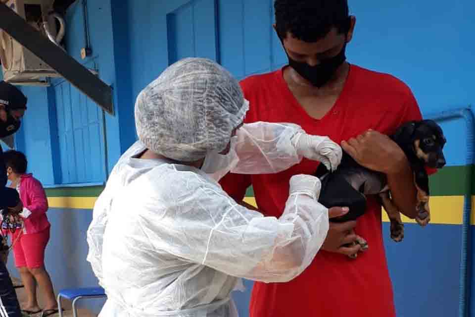 Centro de Zoonoses continua vacinando durante a pandemia