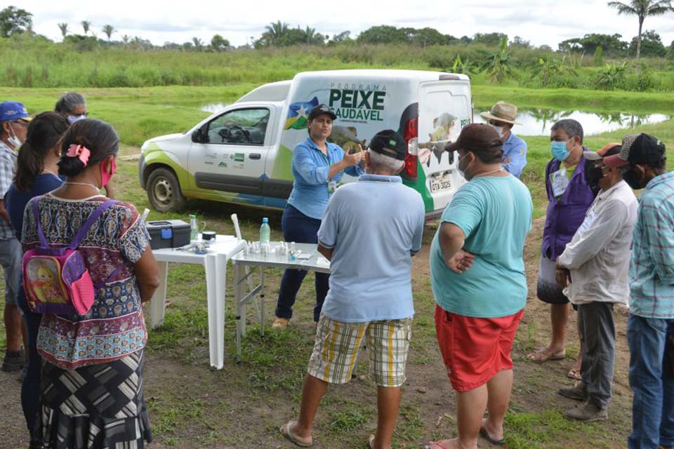 Fortalecimento da agricultura familiar marca ações da Emater Rondônia, em 2022