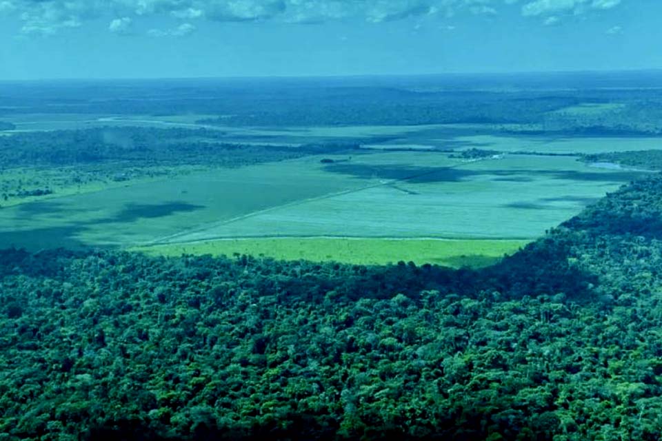 No Dia da Amazônia, Rondônia ressalta o esforço conjunto de órgãos no combate aos ilícitos ambientais