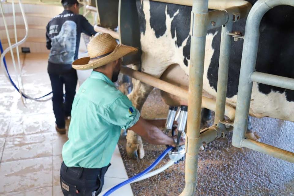 Melhoramento genético de rebanho de leite também conta com apoio do Sebrae em Rondônia