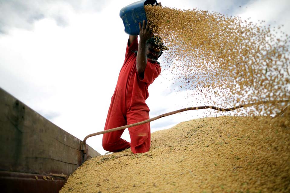 Capacidade de armazenagem agrícola chega a 177,7 milhões de toneladas