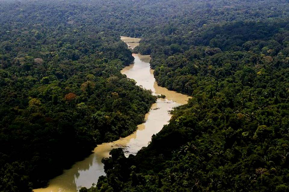 Alertas de desmatamento na Amazônia caem 66% em agosto