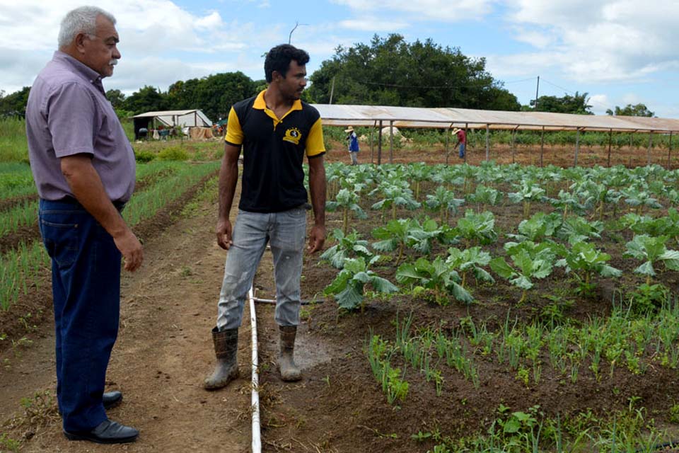 Programa de Aquisição de Alimentos anima produtores de hortaliças em Porto Velho