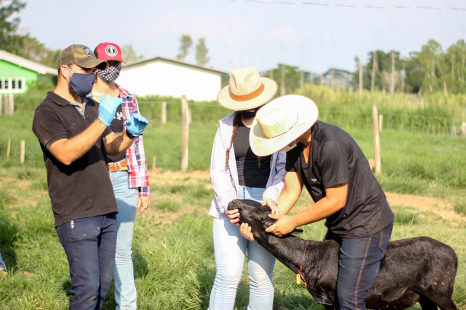 Acadêmicos de Medicina Veterinária de Colorado do Oeste realizam primeiras atividades práticas presenciais