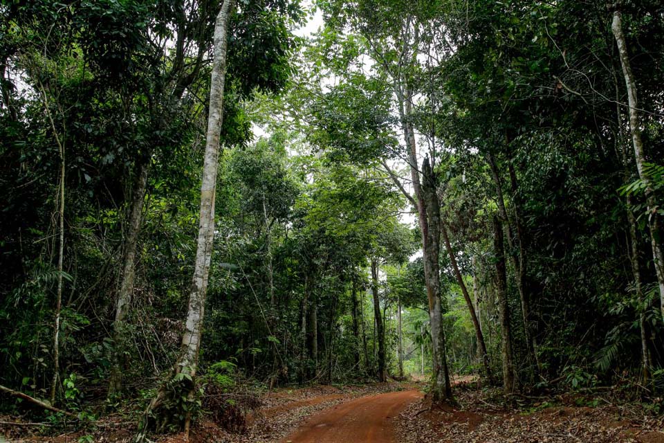 Projeto Educação Ambiental em terras indígenas será apresentado pelo Governo de Rondônia na COP-27