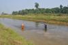 Aquicultura sustentável na Amazônia; estudo aponta alternativas para o desenvolvimento do setor em Rondônia