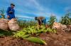 Gestão Hildon Chaves transforma a agricultura familiar em Porto Velho e contempla pequenos produtores