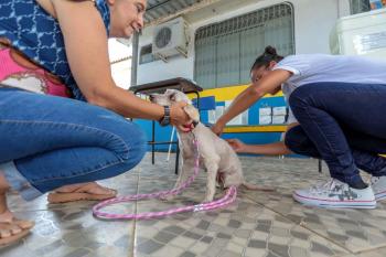 Prefeitura de Porto Velho mantém Dia D de Vacinação Antirrábica, apesar da recomendação de suspensão de eventos externos 