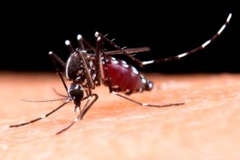 Dengue: Brasil tem 3,2 mil casos a cada 100 mil habitantes