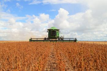 Leis em Rondônia e Mato Grosso desafiam moratória da soja e acirram disputa entre produtores e exportadores