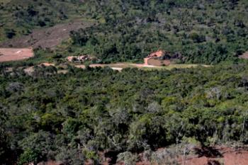 Maior parte da Mata Atlântica tem menos de 30% de vegetação nativa