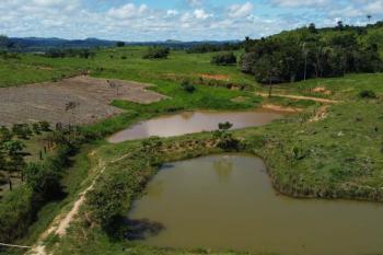 RO é Agro: investimento estimula agricultura familiar no setor Riachuelo em Ji-Paraná