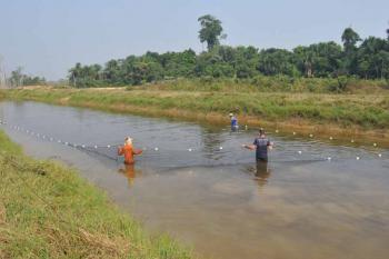 Aquicultura sustentável na Amazônia; estudo aponta alternativas para o desenvolvimento do setor em Rondônia