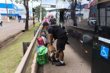 Policial Militar apreende 22 quilos de maconha em Cacoal