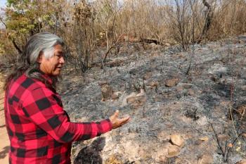 Indígenas sofrem com incêndio em área próxima a parque de Brasília