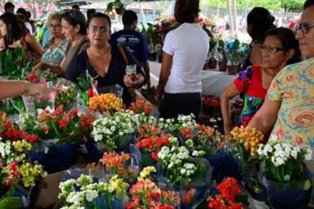 Ji-Paraná: Festival de Flores de Holambra começa nesta sexta-feira (11)