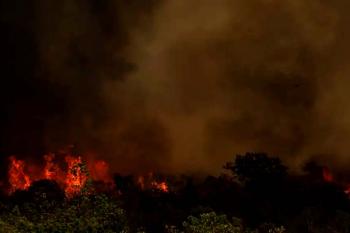 Chuva ajuda a apagar incêndio no Parque da Serra dos Órgãos, no Rio