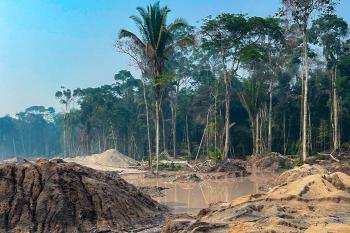 MPF recomenda medidas de proteção ao Parque Nacional dos Campos Amazônicos