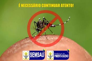 Resultado Lira 2025: Levantamento rapido de índices para Aedes Aegypti