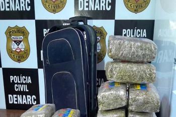  Denarc prende traficante com cerca de 20 quilos de skunk em hotel 