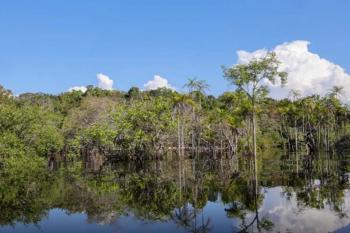 Rio Negro pode passar por pior seca da história ainda esta semana