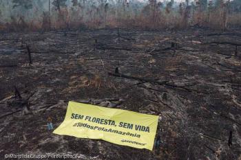 Senador do Amazonas acusa Greenpeace de usar imagens falsas e bloquear subsistência até em Rondônia