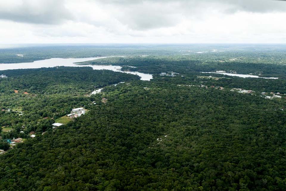 Desmatamento na Amazônia tem queda de 68% em abril em relação a 2022