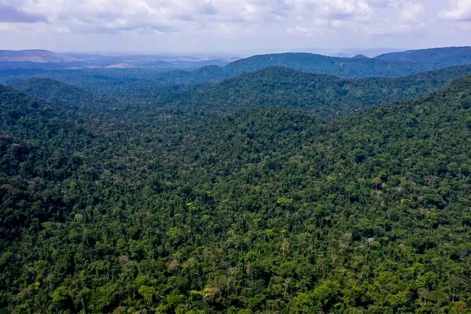 Cumprimento do Acordo de Paris vai além da Amazônia, aponta relatório