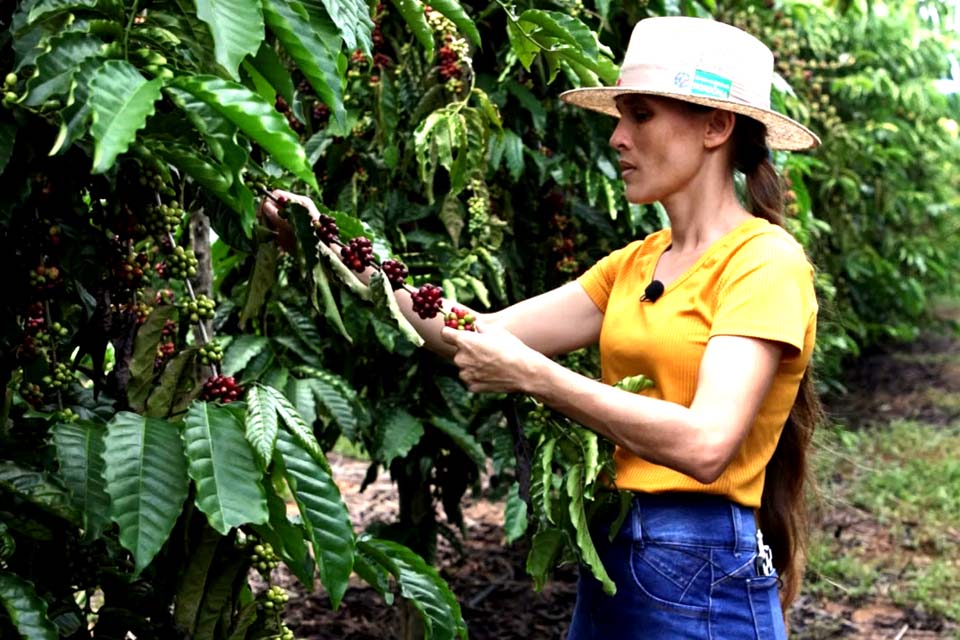 Mulheres produtoras de café de Rondônia estão entre as finalistas em concurso nacional de qualidade