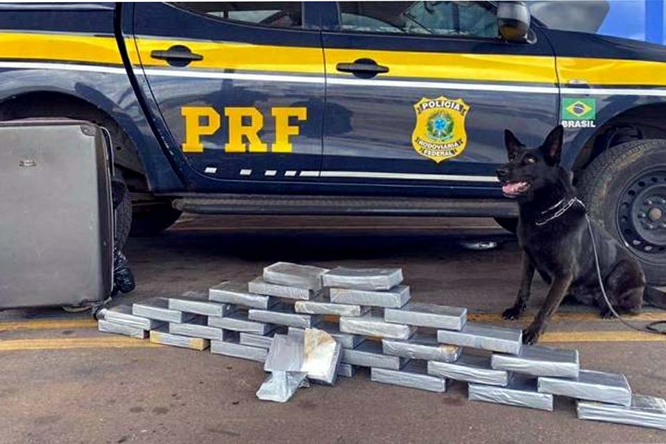 PRF apreende 30kg de cocaína em mala esquecida em terminal de ônibus no DF