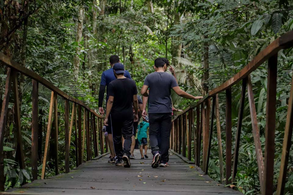 Rota Ecológica promove walking tour no Parque Natural de Porto Velho