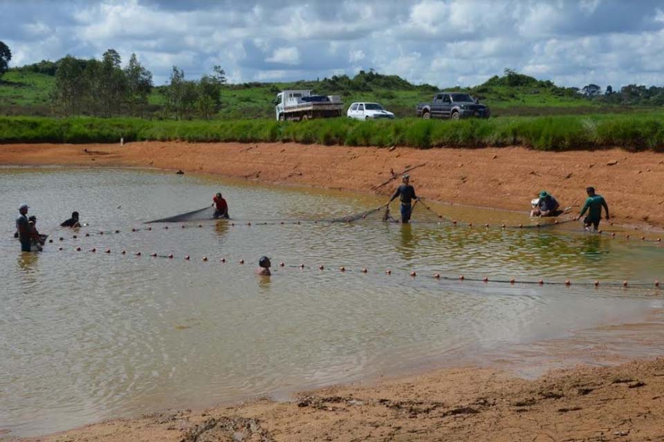 Semaic recebe doação com 600 quilos de peixes para auxiliar alimentação das famílias carentes