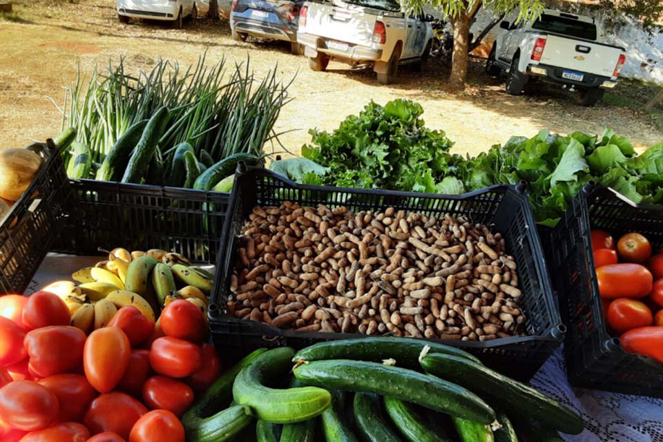 Mais de 350 produtores de Rondônia são aprovados no Programa de Aquisição de Alimentos Indígena