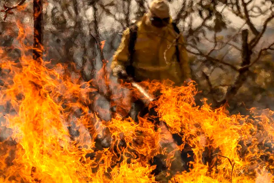 Entenda as linhas de investigação dos incêndios florestais no país