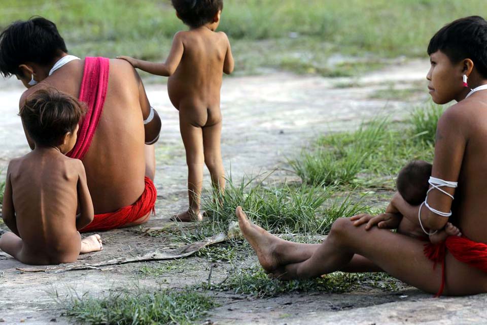 IBGE inicia última etapa do Censo 2022 na Terra Indígena Yanomami