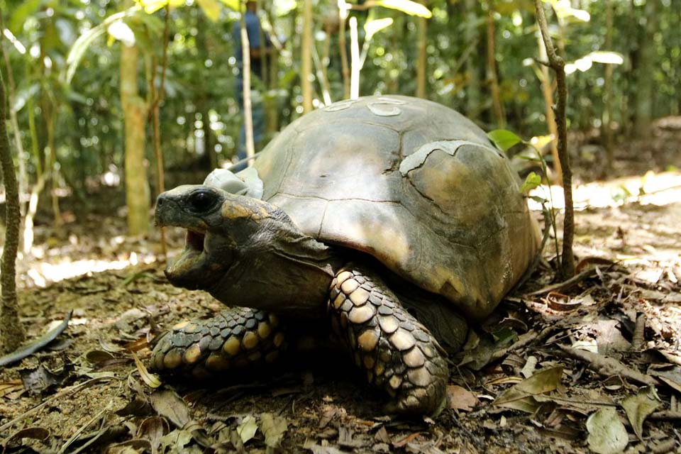 Ministério do Meio Ambiente suspende visitação a parques nacionais