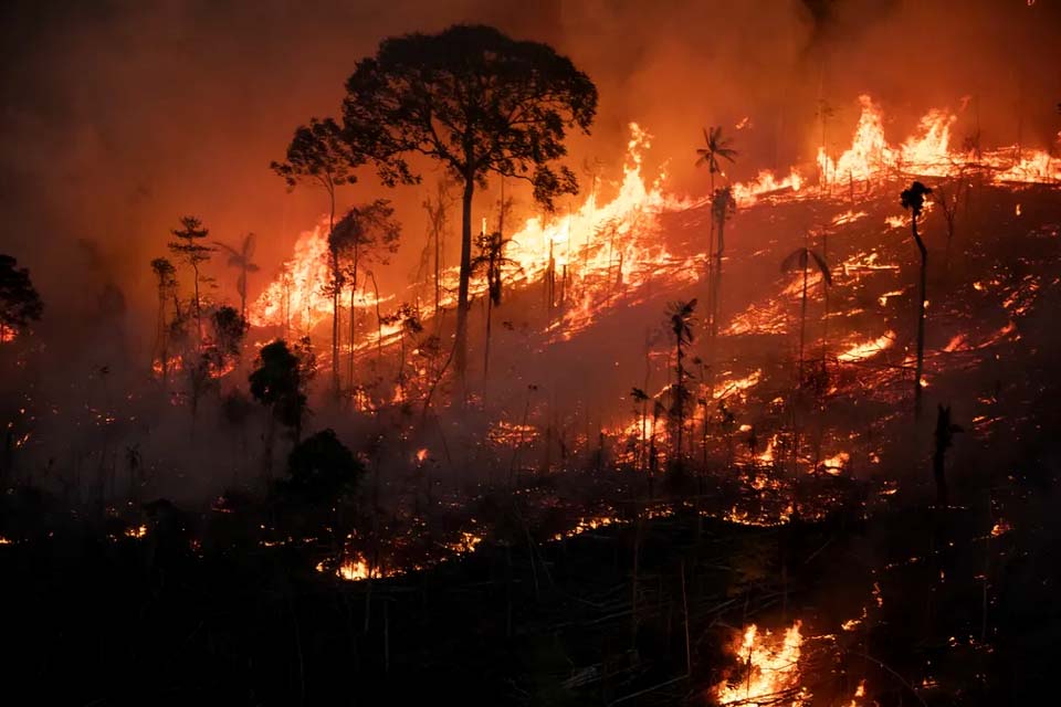 Amazônia tem pior agosto de queimadas dos últimos 12 anos