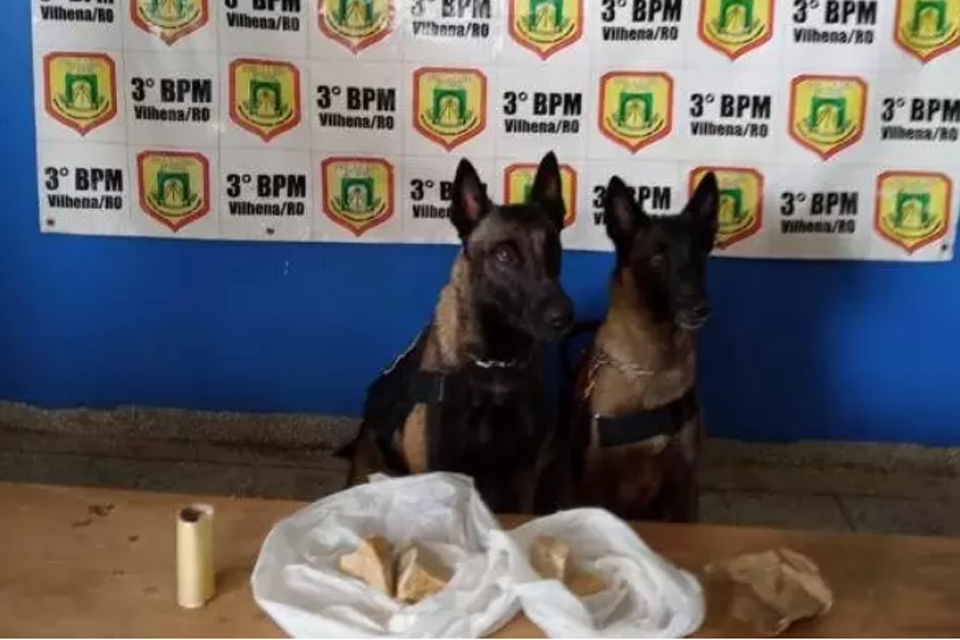 Com ajuda dos cães farejadores da PM casal é preso por tráfico 